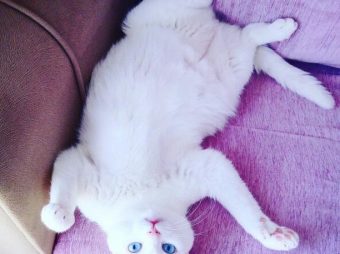 Mia ile geçen 2 yılın ardından