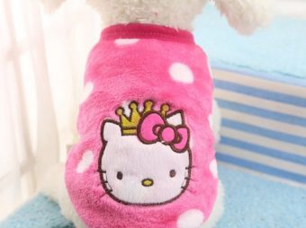 Hello Kitty Desenli Kedi Kıyafeti