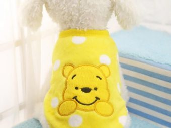 Winnie Poo Desenli Kedi Kıyafeti