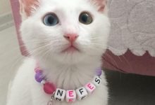 Nefes büyüdü ve kocaman oldu