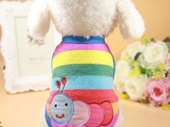 Solucan Desenli Kedi Kıyafeti