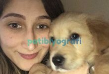 Paşa sen çok yaşa :)