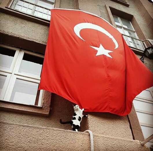 Günün fotoğrafı :)