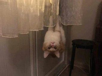 Yoo canım hiç sıkılmıyor