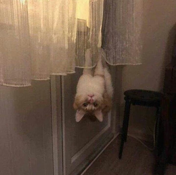 Yoo canım hiç sıkılmıyor