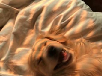 Mutlu hafta sonları