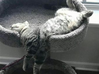 Pazar Günü Uyanamayanlar