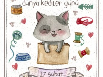 Dünya Kediler Günü