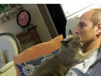 Kediler böyle işte