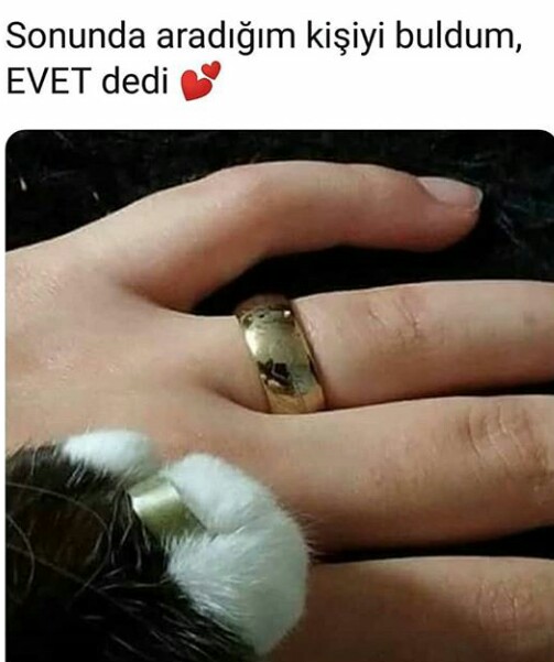 She said yes!