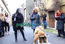 Jack – Kadir Has Üniversitesi