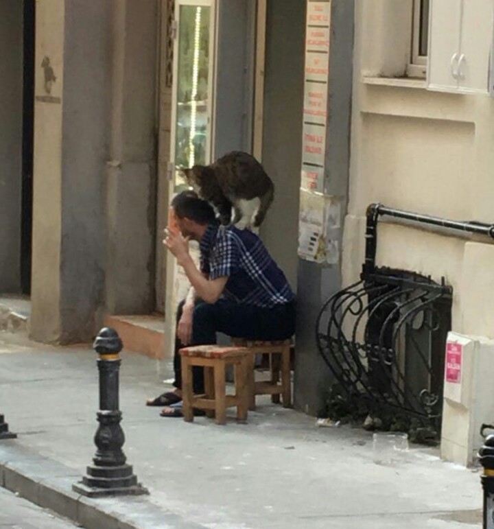 Başımın üstünde yeri var, diyenler .