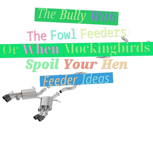 The Bully With The Fowl Feeders Or When Mockingbirds Spoil Your Hen Feeder Ideas