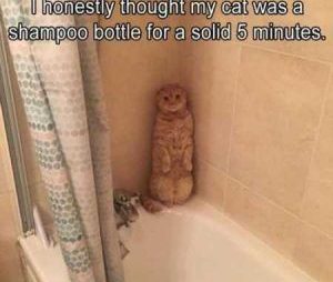 The Demise Of A Kid – You Do Not Get Over It