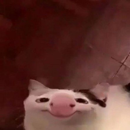 Community Assistance To Get A Grumpy Green Inside Of A Monster Menagerie