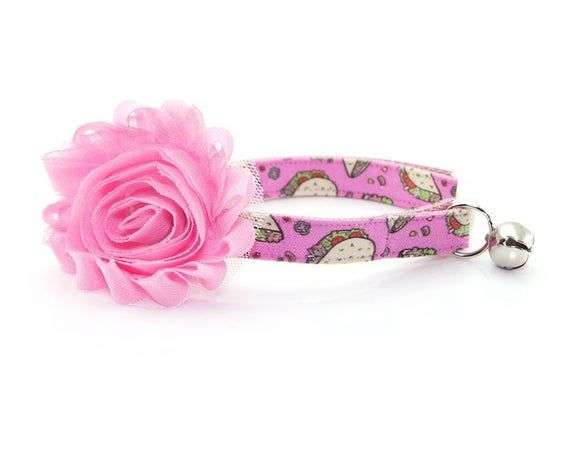 Practical Recommendations About Encouraging A Cat Via A Tough Birth