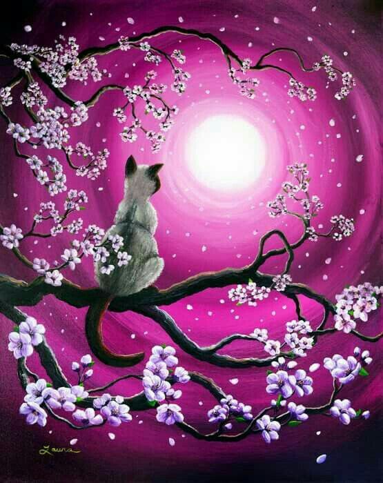 Explore Which Foodstuff For Cats With Bladder Stones Can Assist