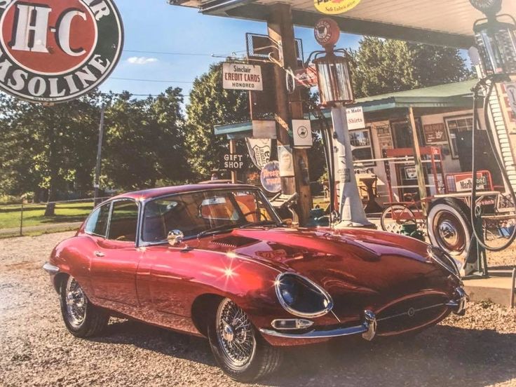 In The Event You Let Your Cat Have One Particular Litter Prior To Remaining Spayed?