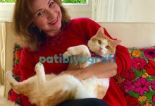 Toffee’nin Hikayesi